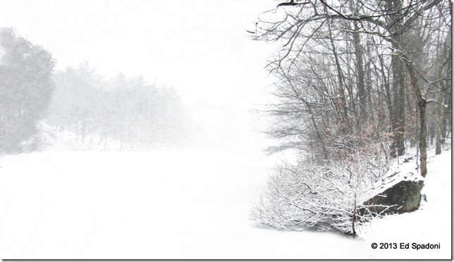 Snow, winter, ice, pond, white out